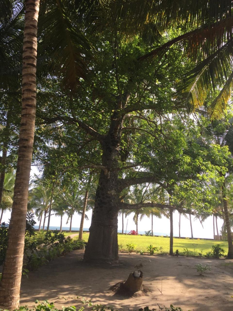 Oceanic Bay Hotel & Resort Bagamoyo Exterior foto